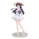 Oreimo PVC Статуэтка 1/6 Куронеко Рури Гоко: Shironeko Ver. 25 см