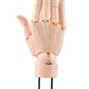 Takahiro Kagami PVC Artist Support Item Hand 1/1 Model/R Pale Orange 21 см