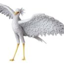 Flow UDF PVC joonis Secretarybird