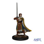 D&D Premium värvitud minifiguur  Inimene Cleric (mees)