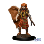 D&D Premium värvitud minifiguur  Inimene Druid (mees)