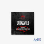 BTS - [DARK & WILD] 1st Album