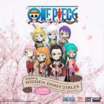 One Piece Blind Box Hidden Dissectibles Series 5 (Ladies ed.)