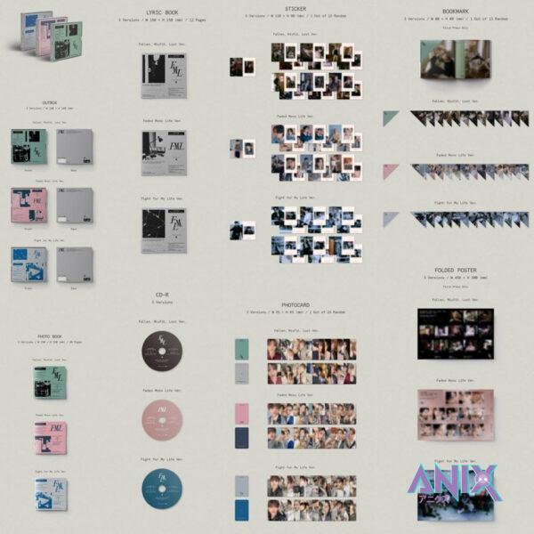 Seventeen - FML (random)