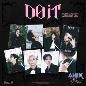 STRAY KIDS [DO IT] ACCORDION VER (Случайный)