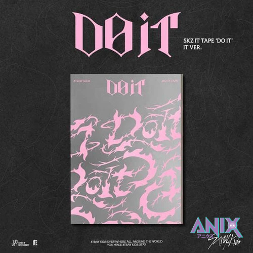 STRAY KIDS [DO IT] IT VER