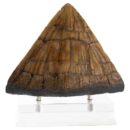 Jurassic Park kuju Triceratops Spike Prop (Reproduktsioon) 19 cm