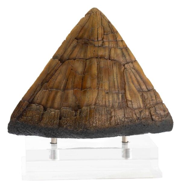 Jurassic Park kuju Triceratops Spike Prop (Reproduktsioon) 19 cm