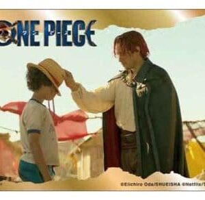 One Piece Mystery mini puzzle Display (8)