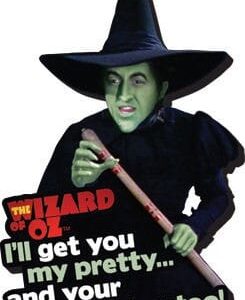 The Wizard of Oz Funky Chunky Magnet I’ll Get You…