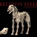Mythic Legions: Reinforcement 3 Action Figure Skeleton Steed Legion Builder