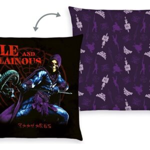 Masters of the Universe Pillow 40 x 40 cm