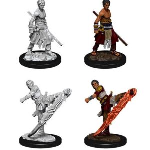 D&D Nolzur’s Marvelous Miniatures Unpainted Miniatures Male Half-Elf Monk Case (6)