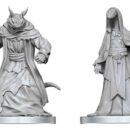 Pathfinder Battles Deep Cuts värvimata miniatuur Zyss & Aapoph Serpentfolk 13 cm